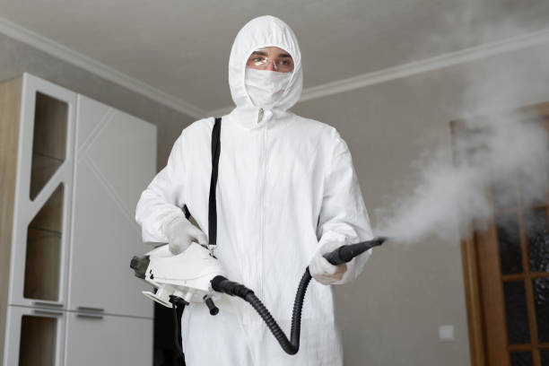 Best Mold Remediation for Healthcare Facilities  in China Grove, NC